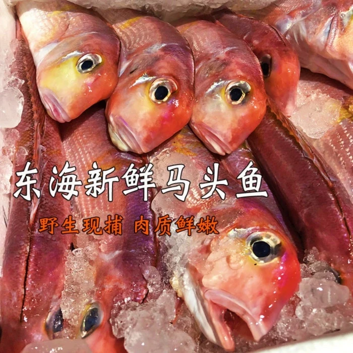 舟山海鲜 新鲜速冻马头鱼斧头鱼白甘鲷方头鱼 顺丰直发5斤/份