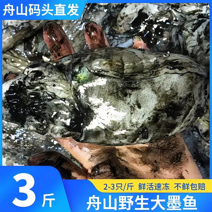 舟山海鲜 新鲜速冻乌贼 正墨鱼 顺丰直发4斤/份