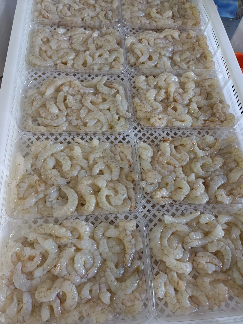 本港新鲜现剥麻虾仁 (分5盒2.5斤)   顺丰发货