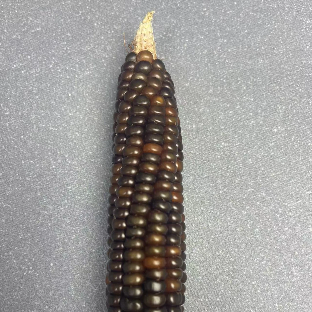 文玩玉米改价链接