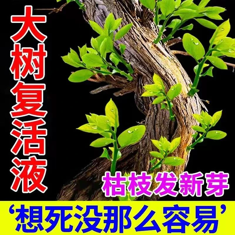 【一夜爆春芽】枯树逢春枯树长绿营养液生根剂改善激活大树成活率