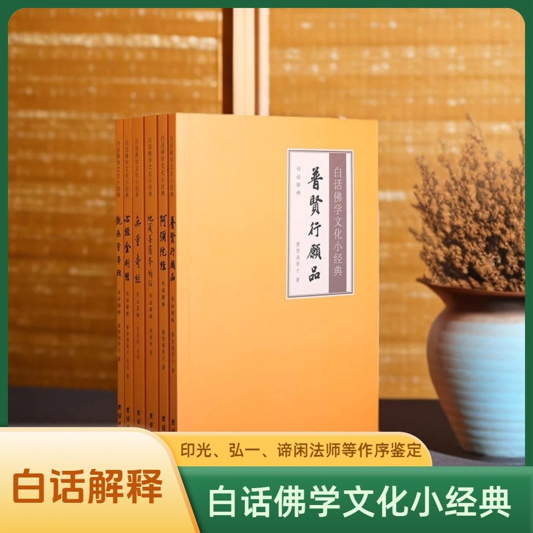 白话佛学文化小经典《心经金刚经》《地藏经》《普贤行愿品》《无量寿经》