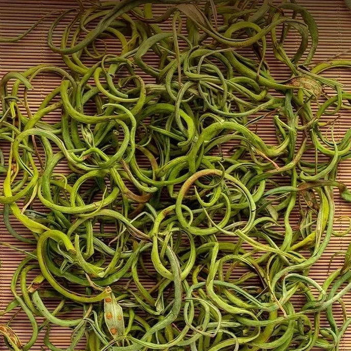 长白山小草(黄金草)净重50克/瓶石草茶