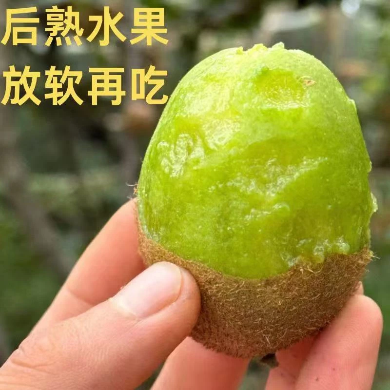 陕西眉县瑞玉猕猴桃果园直发新鲜应季水果香甜可口
