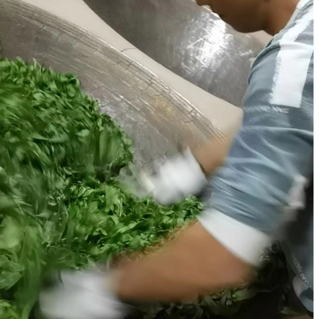 【薄荷塘】2023年古树 纯料     一类   不配茶样