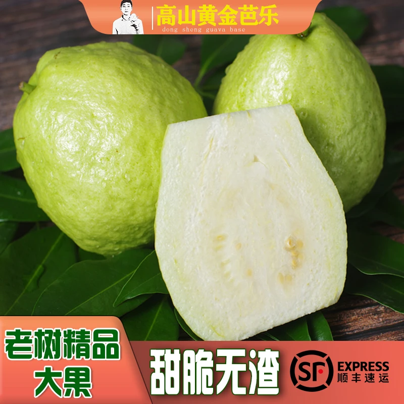 东生番石榴白心芭乐水果直播 精品礼盒1-8斤甜脆非软糯红心