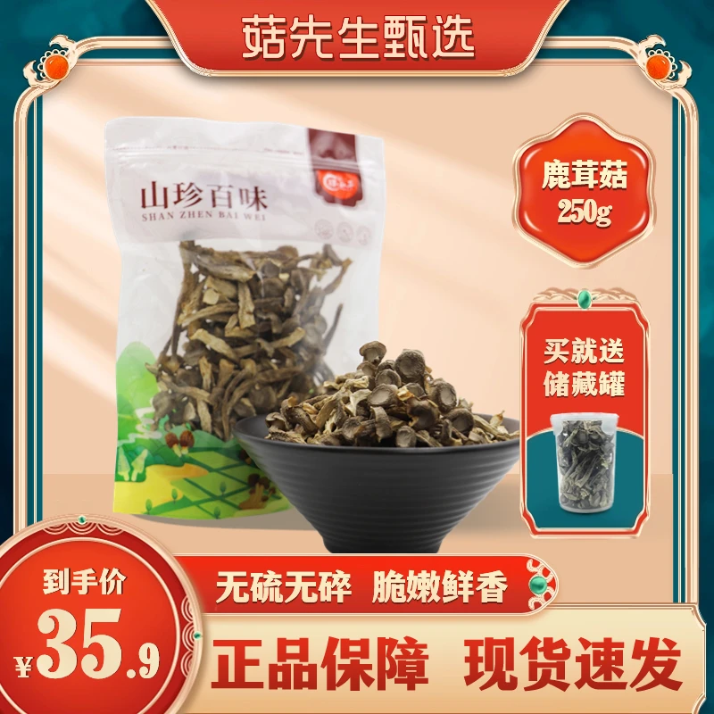 23年鹿茸菇福建古田特产食用脆脆菇炒菜火锅煲汤无硫新鲜