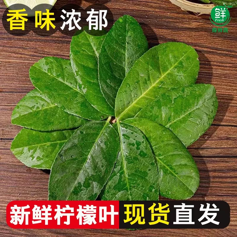 新鲜柠檬叶青柠叶西餐厅香料料理烹饪冷饮奶茶店调料冬阴功汤原料
