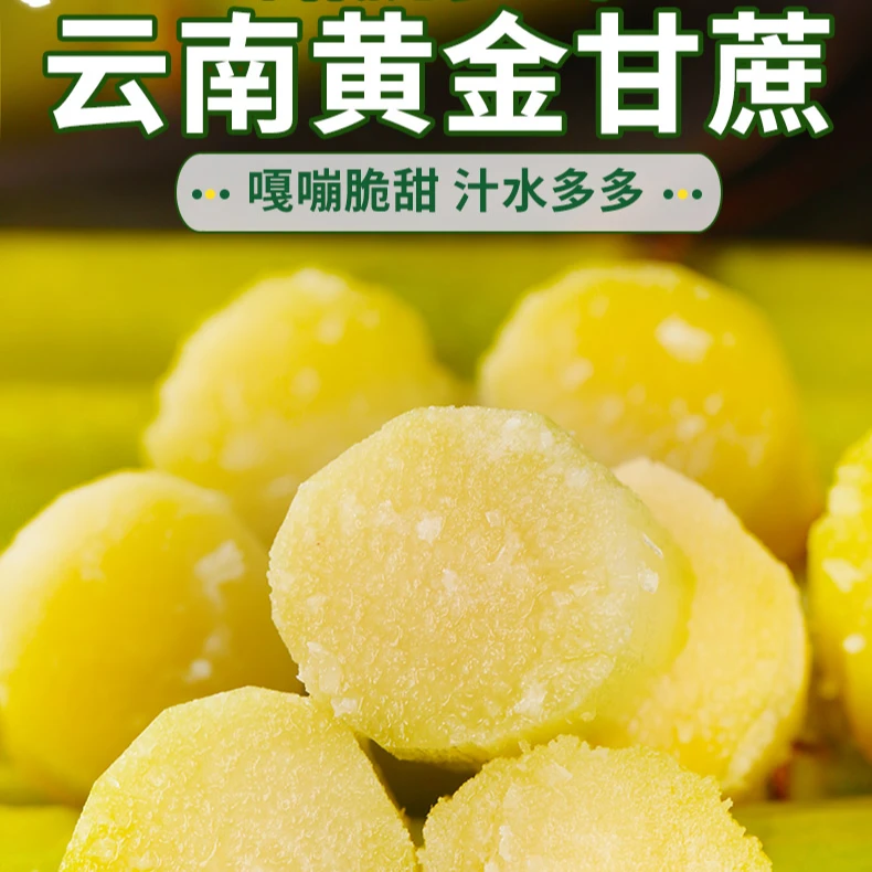 云南黄金甘蔗现砍现发脆甜多汁产地直发纯甜无酸