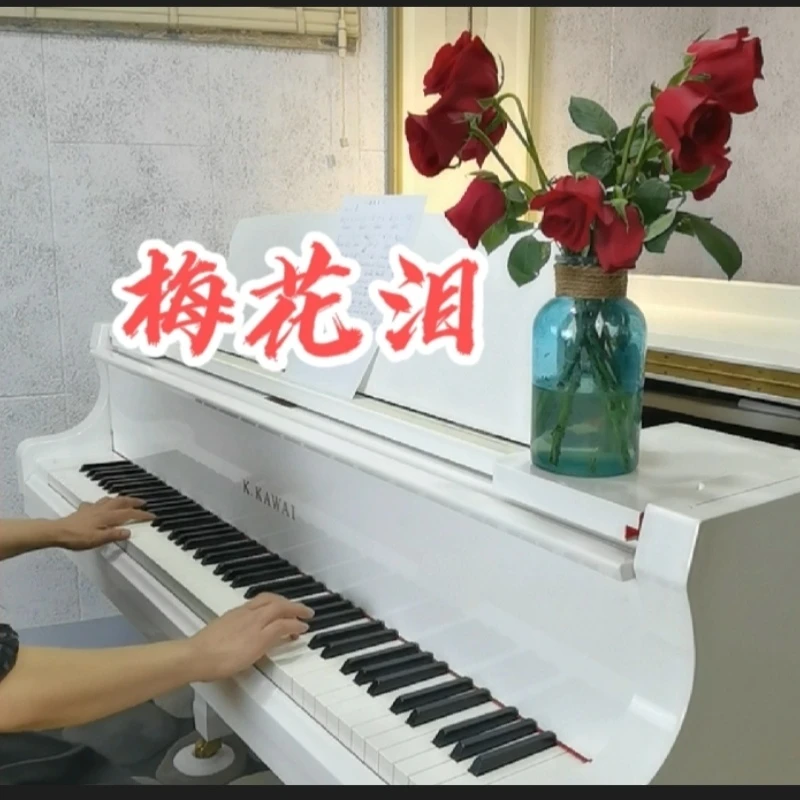 学习演奏钢琴曲《梅花泪》