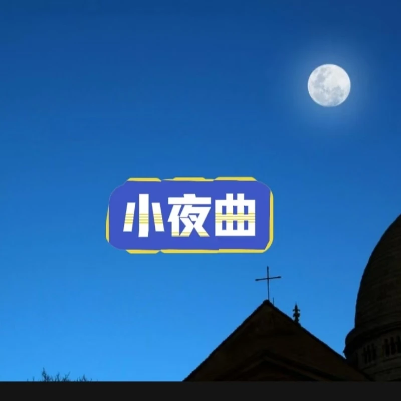 学习演奏钢琴曲《小夜曲》
