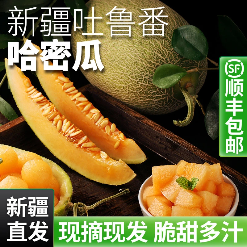 正宗吐鲁番火焰山西州蜜25号哈密瓜多汁脆甜新鲜水果