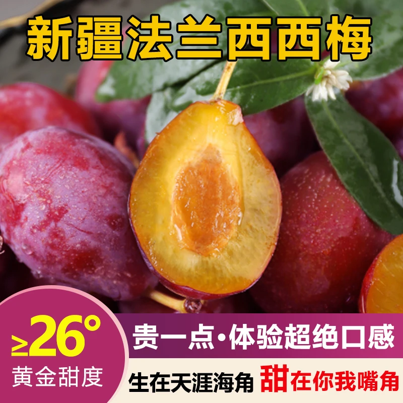 礼盒装正宗新疆喀什法兰西西梅爆甜皮薄肉厚3斤顺丰包邮坏果包赔