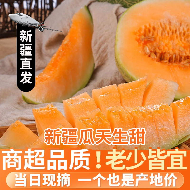 【西州蜜25号】新疆吐鲁番哈密瓜果香甜蜜脆甜多汁新鲜水果产地直发