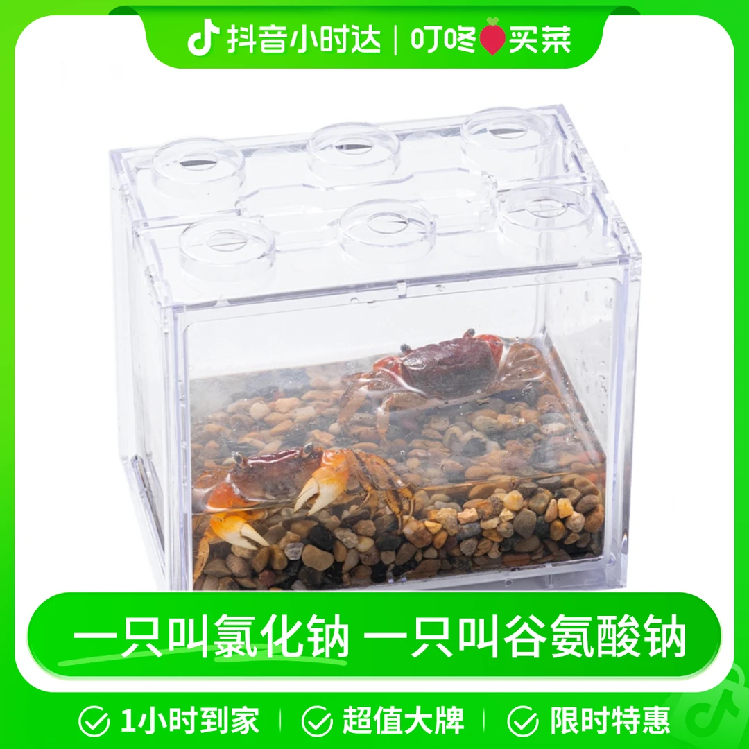 鲜活相守蟹套盒2只/盒蟹同城配送海鲜