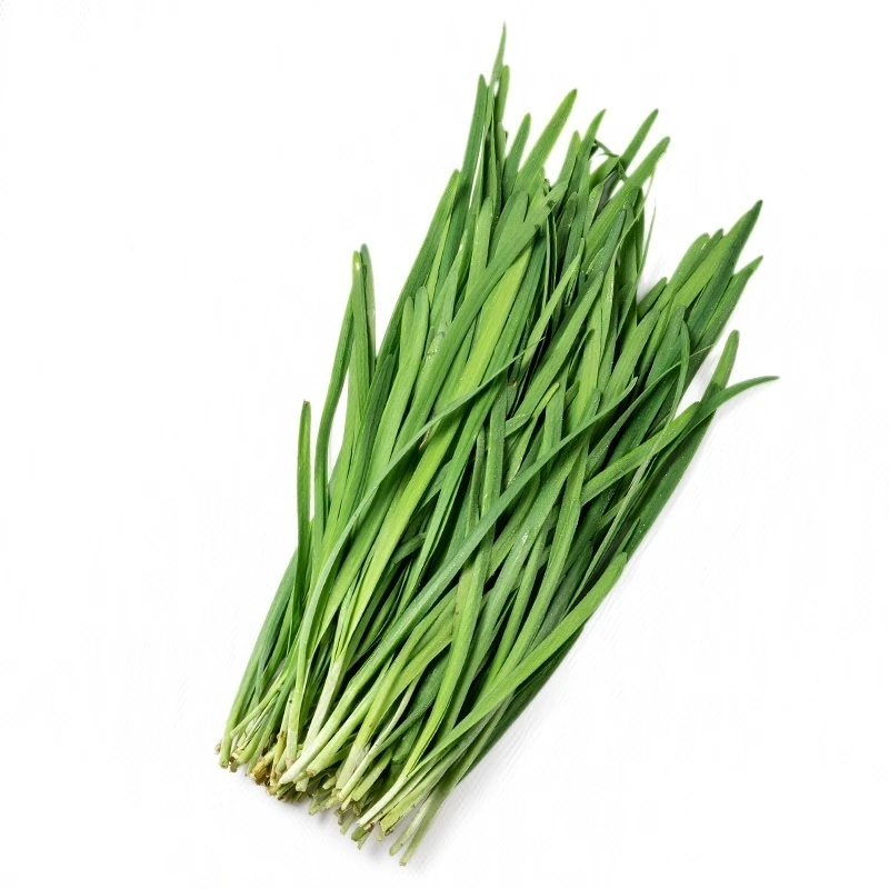 【高原鲜】韭菜 约300g