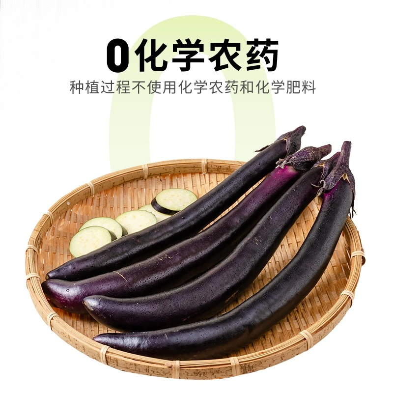 有机茄子（长茄） 300g/份茄子同城送