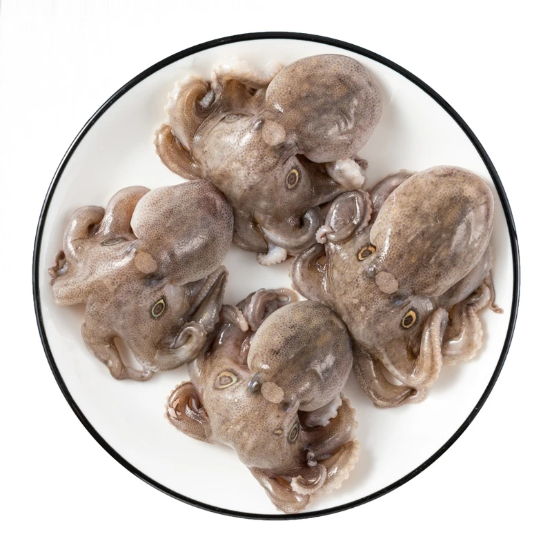 海捕冰鲜八爪鱼 约250g