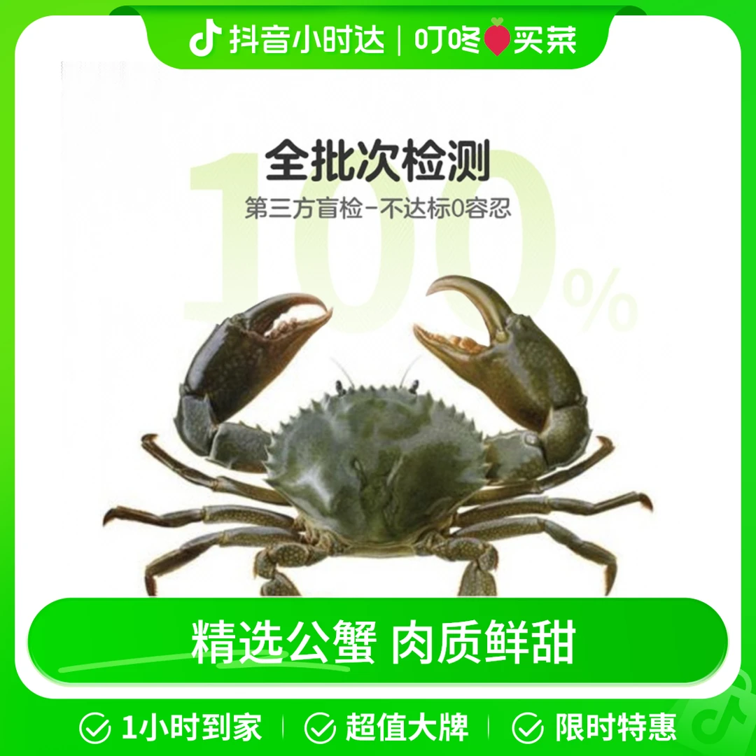 鲜活青蟹1只 150g以上蟹同城配送