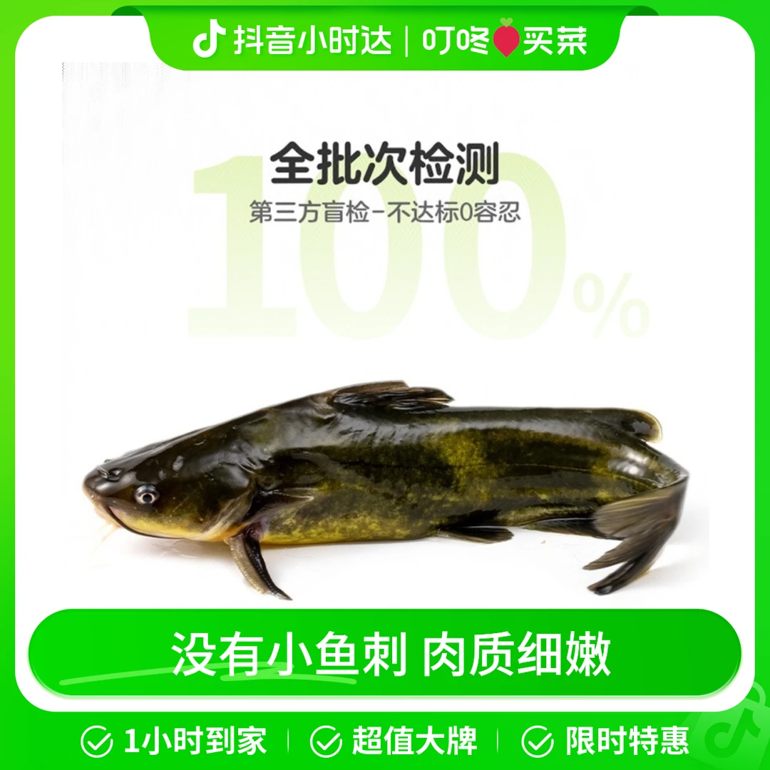 鲜活优质昂刺鱼（3-5条）300g