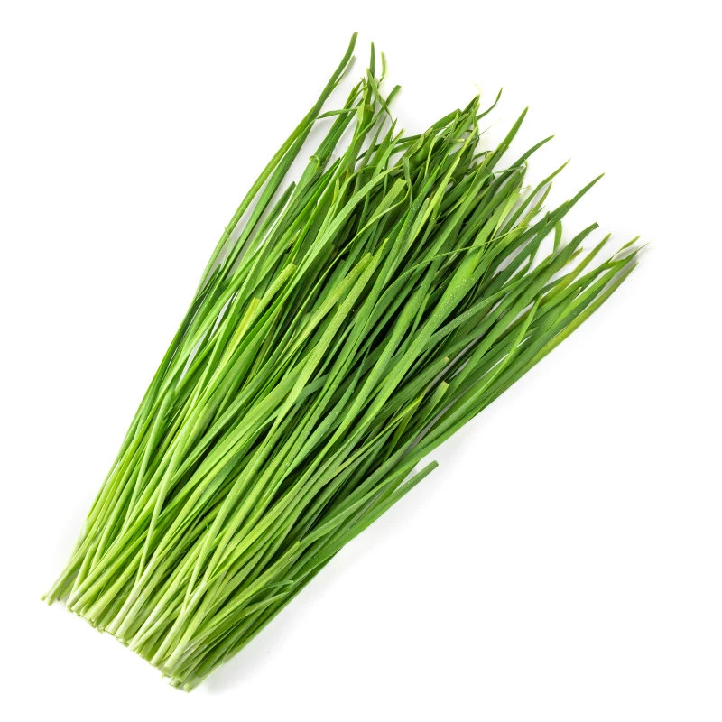 崇明韭菜 350g/份