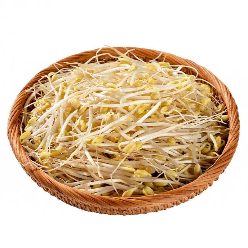 【无化学添加】安心黄豆芽 300g/份