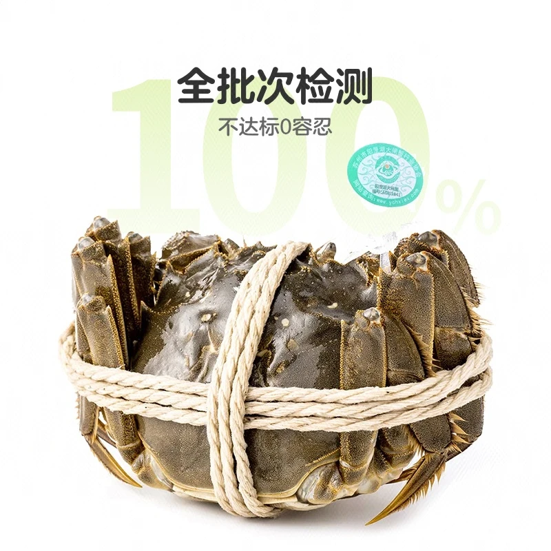 鲜活清水大闸蟹（母蟹）1只 85g