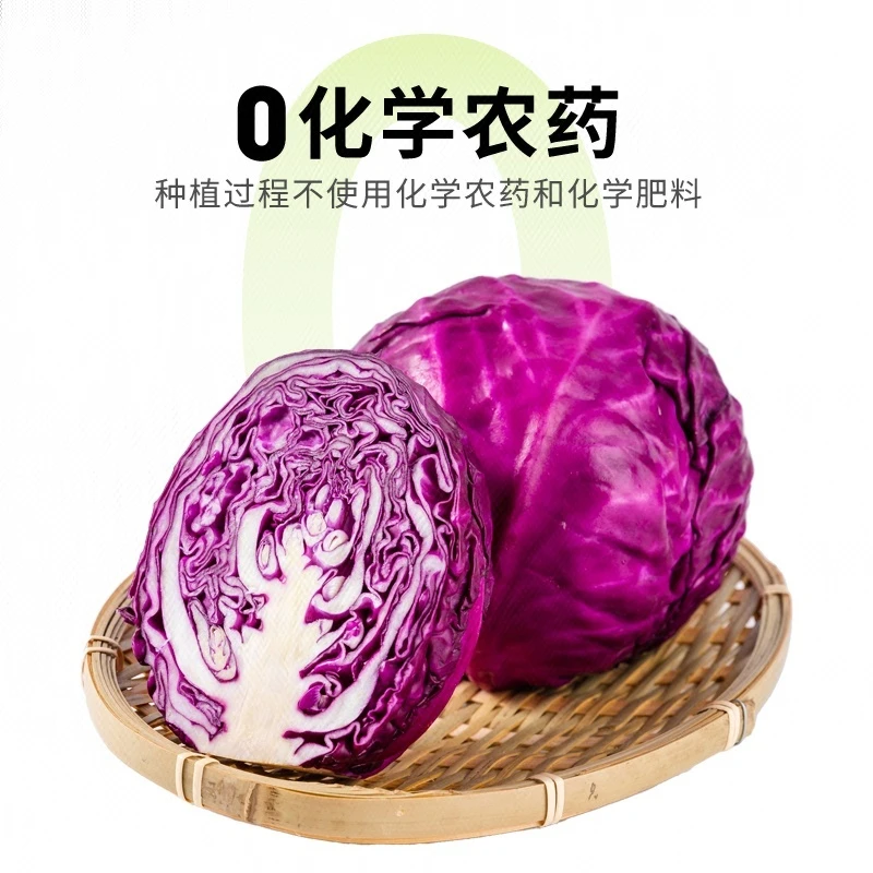 有机紫甘蓝 500g/份