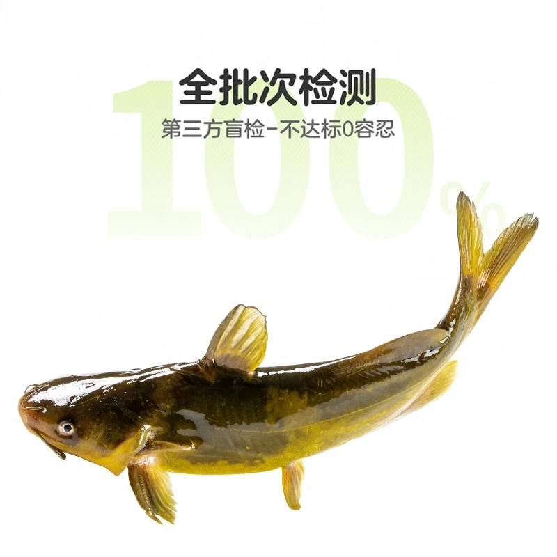 鲜活优养溪泉昂刺鱼1条 约120g