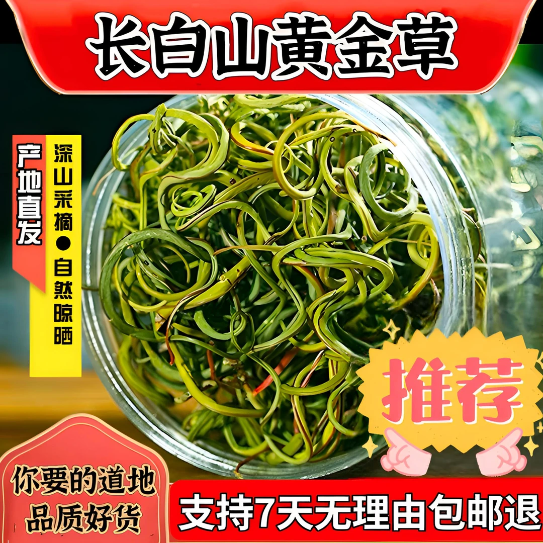 长白山高海拔深山 天然品质黄金茶 50克 泡水 煮水 自然采摘