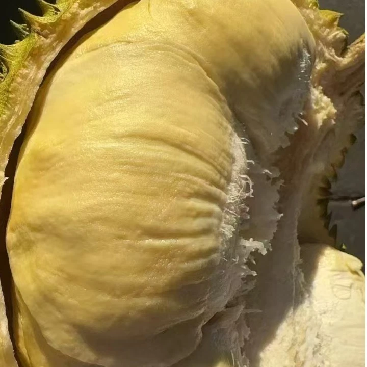 化州可拍可送【 菲律宾树熟黄金普雅榴莲】现拍现开