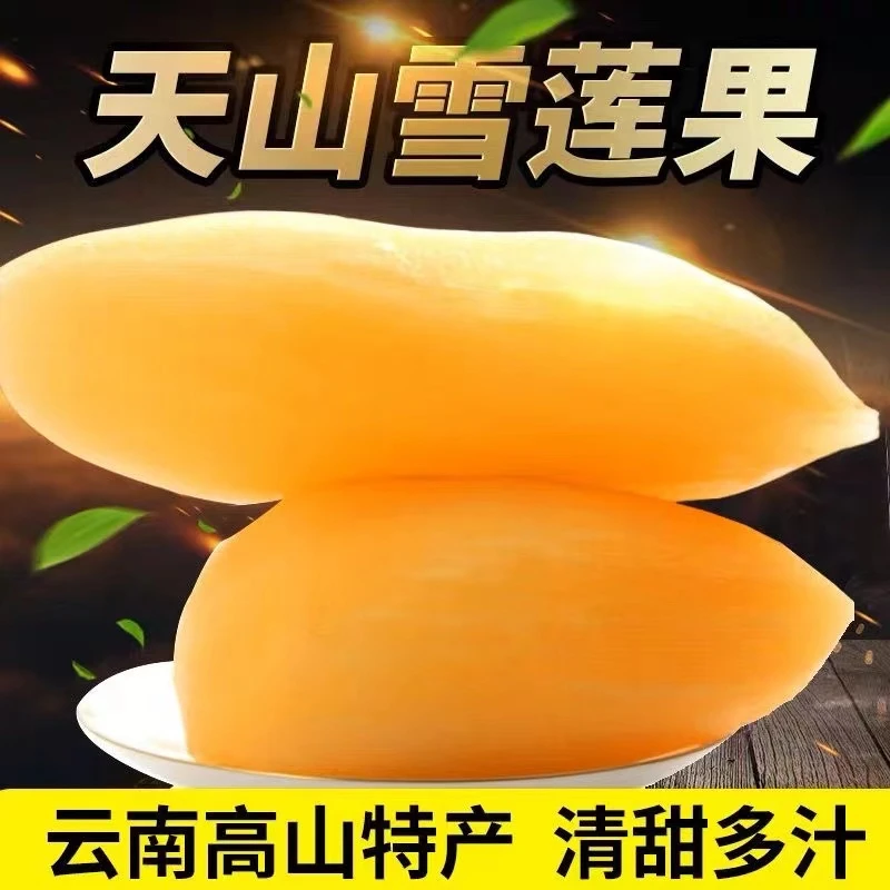 SG【坏果包赔】正宗云南天山雪莲果当季水果5-9斤装现挖现发
