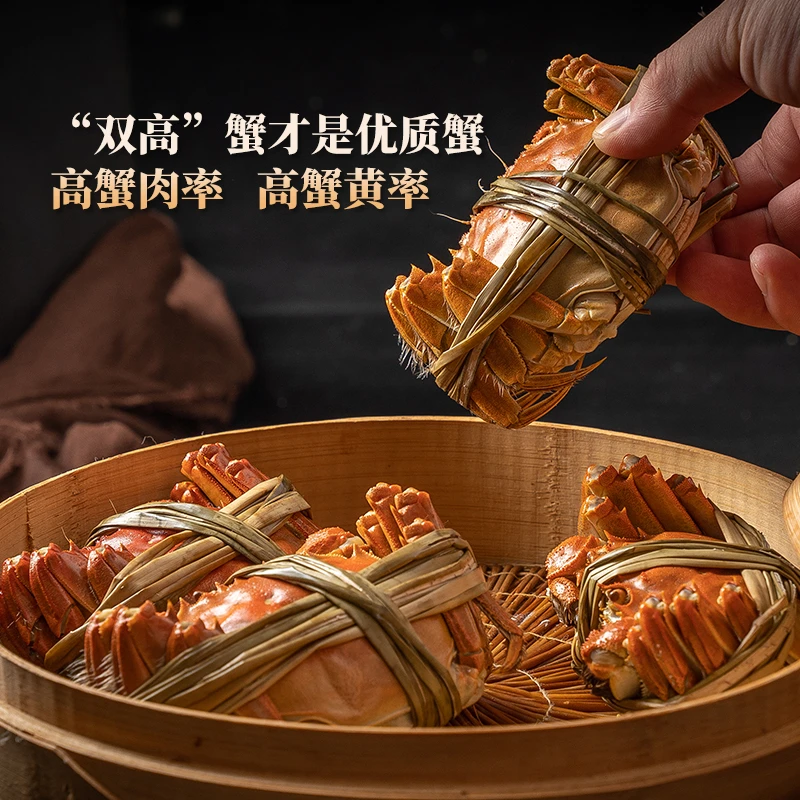 【活蟹】母蟹 3.5两 10只 精品 江苏大闸蟹 成熟送礼佳品