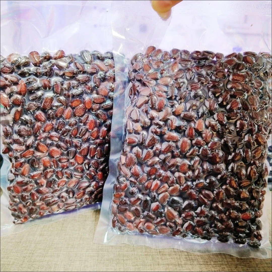 新货湿松子盐水煮雪松子大粒解馋零食开袋即食晚上必备充饥食品