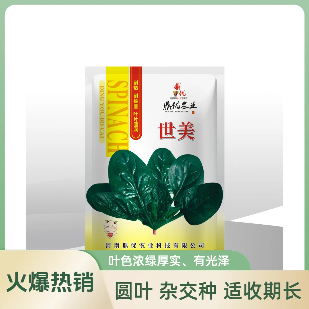 鼎优世美 黑圆叶趴地菠菜蔬菜种子250克 抗性强 好种植 适收期长