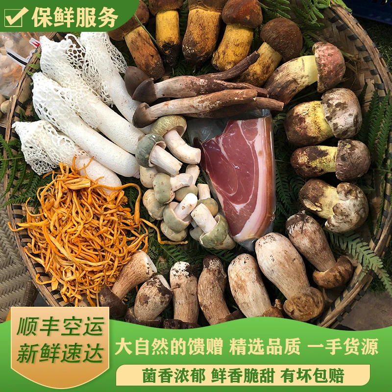云南精选新鲜野生菌组合火锅3-4人餐/1000g顺丰空运/野生菌组合