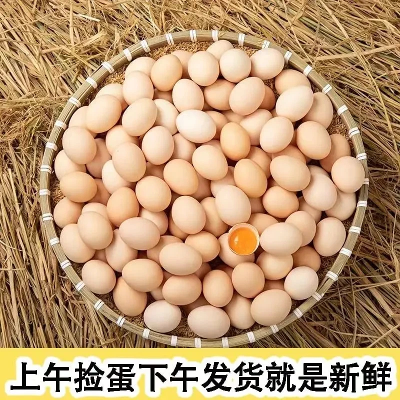 【正宗皖南土鸡蛋30枚】食之源散养土鸡蛋新鲜土鸡蛋营养优选喂养