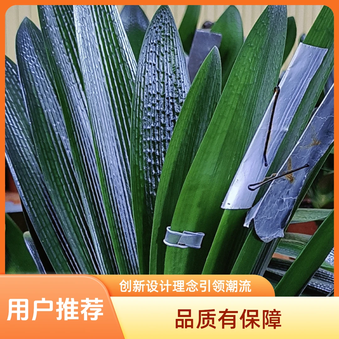 君子兰专用花土手工花土君子兰花土室内绿植君子兰盆栽盆栽