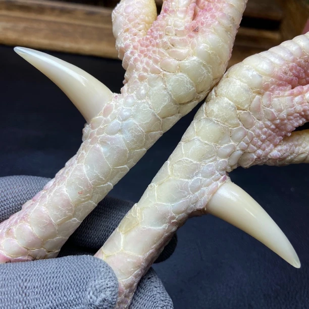 文玩鸡爪骨手把件(一对斗鸡骨 处理好十天左右发货)