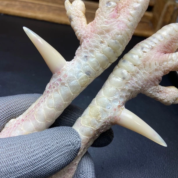 文玩鸡爪骨手把件（一对 处理好十天左右发货）