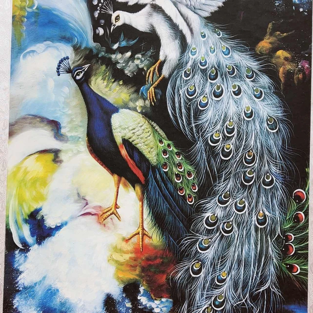 【闪购商品】绘画44032