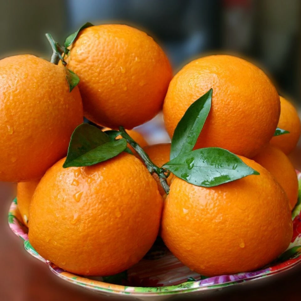 赣南新鲜正宗脐橙水果脐橙脐橙赣南脐橙正宗江西赣南果园直发江西