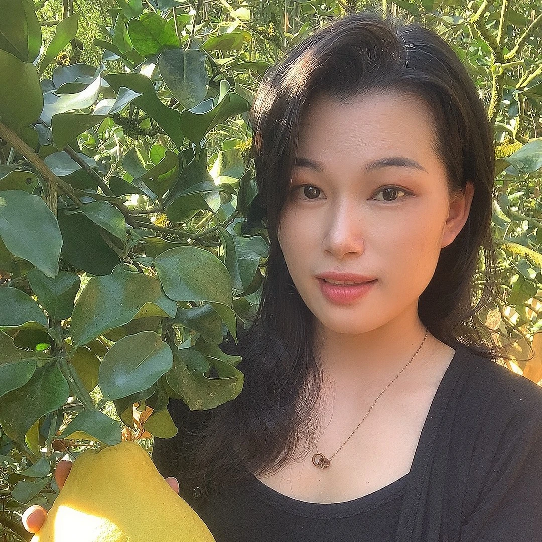 正宗容县沙田柚山顶果5-16斤沙田柚