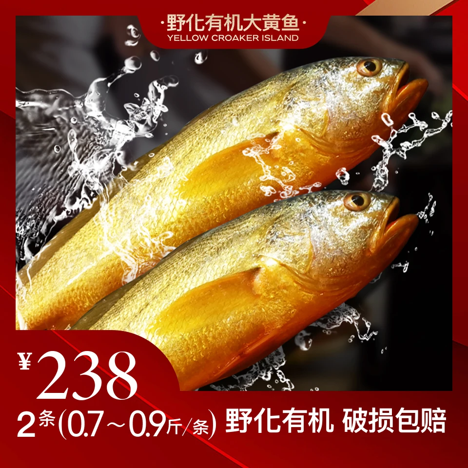 黄鱼岛【深海野化大黄鱼0.7-0.9斤/条】现捕现捞 新鲜发货 不鲜包赔