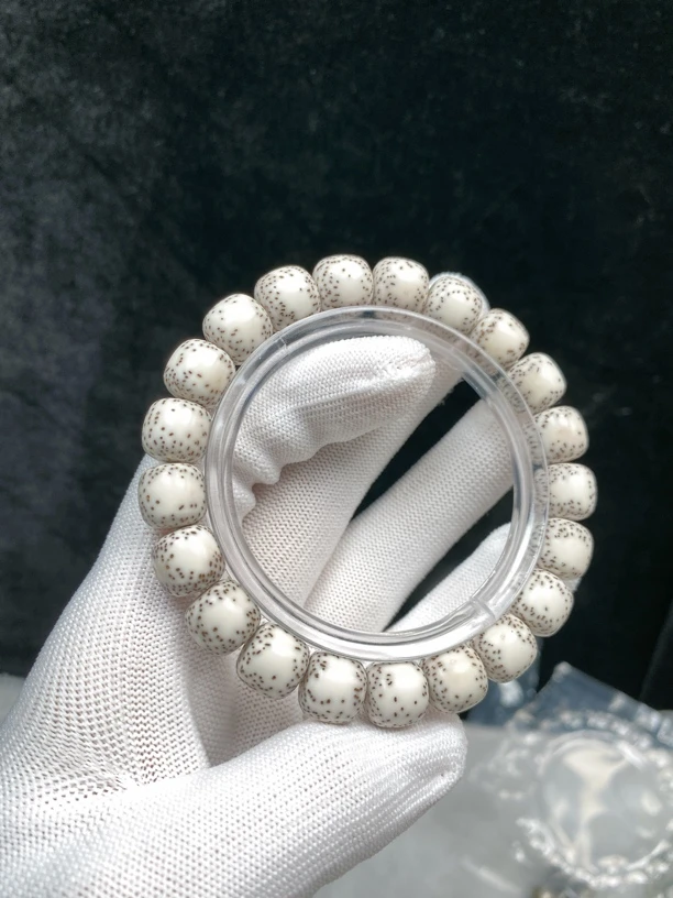 海南料原生态原白11×10针尖星火龙果星侧留白星月菩提