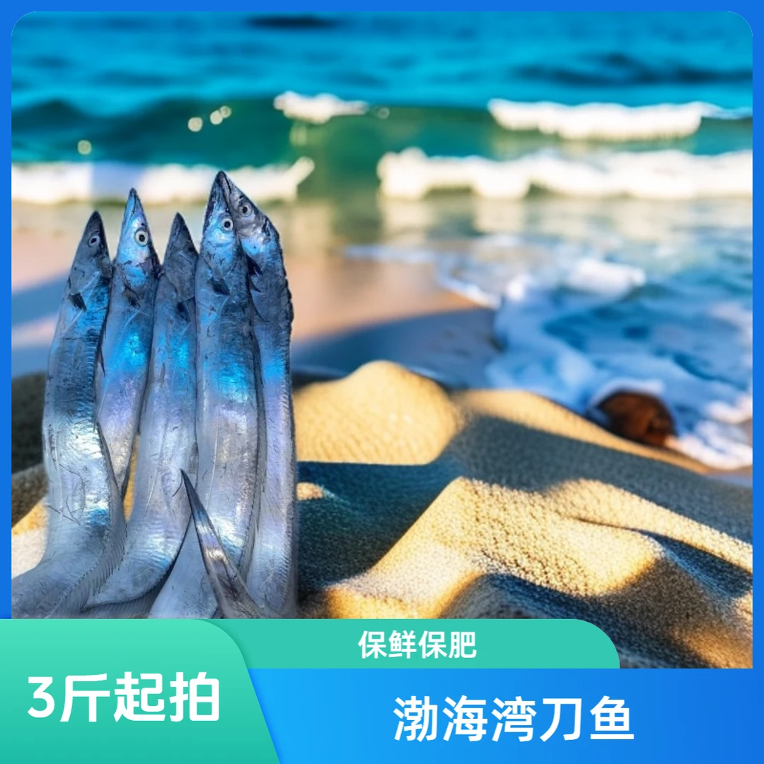 渤海湾刀鱼 【3斤起拍】 保鲜保肥/易破肚