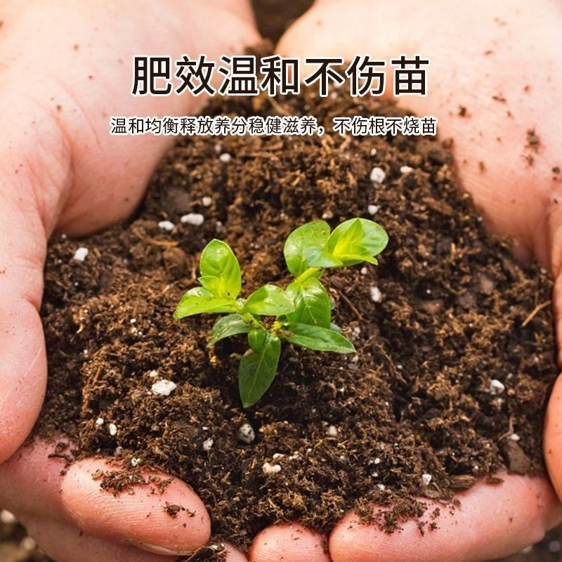 花卉肥通用控释肥多肉颗粒缓释肥养花营养肥料复合肥植物