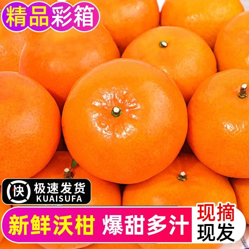 广西武鸣沃柑橘子桔子3斤5斤8斤装甜桔子
