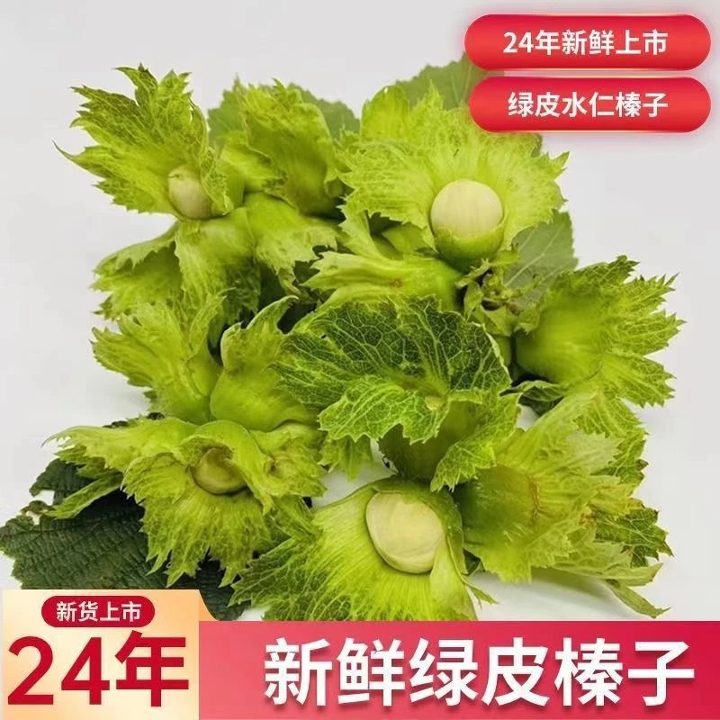 2024年新鲜自家农村大榛子 现摘现发 水仁 带绿皮 脱皮 好吃 美味
