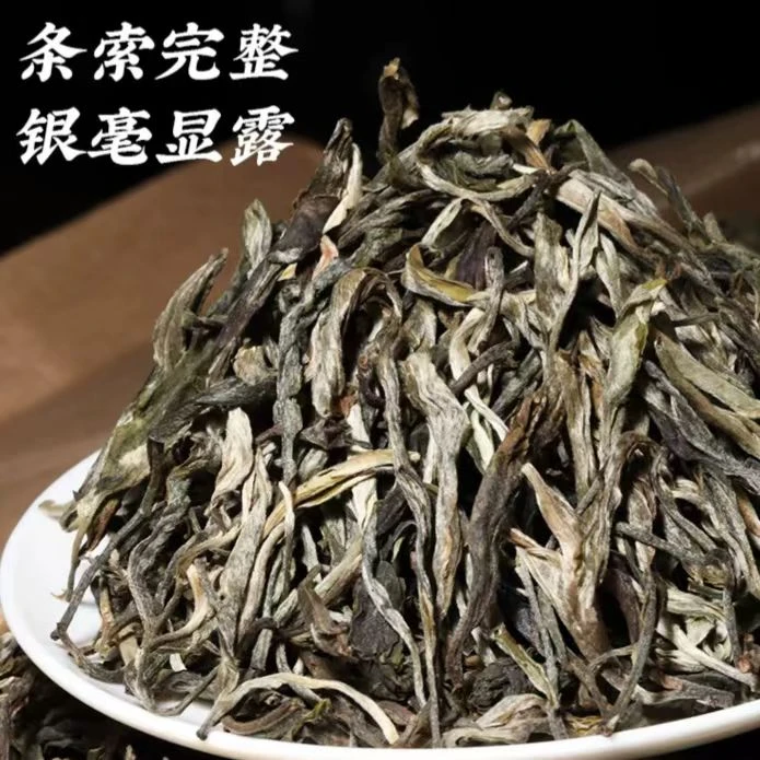 云南正宗普洱茶生茶料称重散茶生态古树散装干净长期好喝耐泡储存